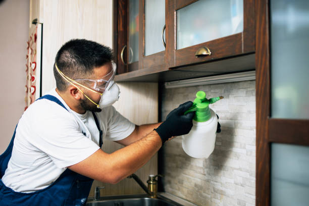 Best Wildlife Control Services  in Springfield, OH
