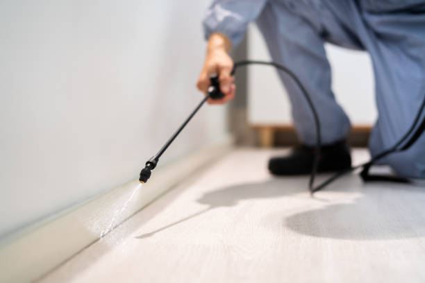 Wildlife Control Services in Springfield, OH