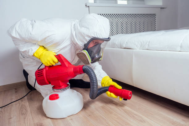Best Local Pest Control Services  in Springfield, OH